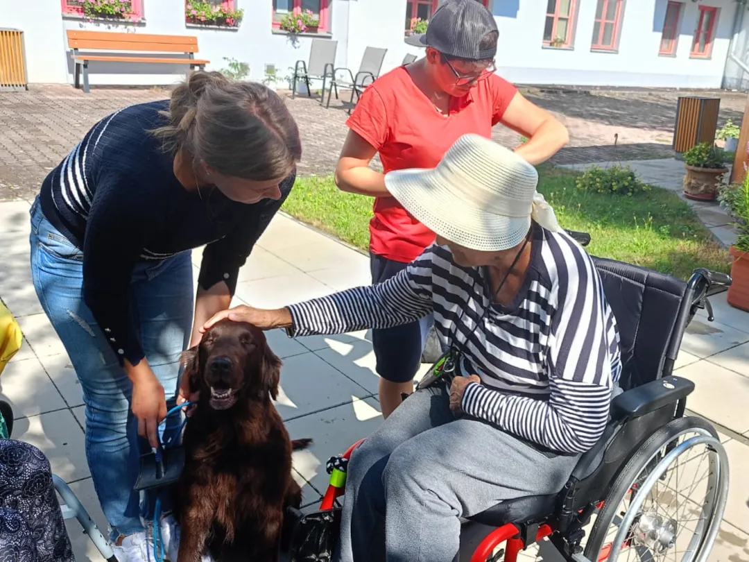 Seniorka hladí služebního psa během ukázky canisterapie.